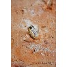 złota obrączka z brylantami 1,3 ct.